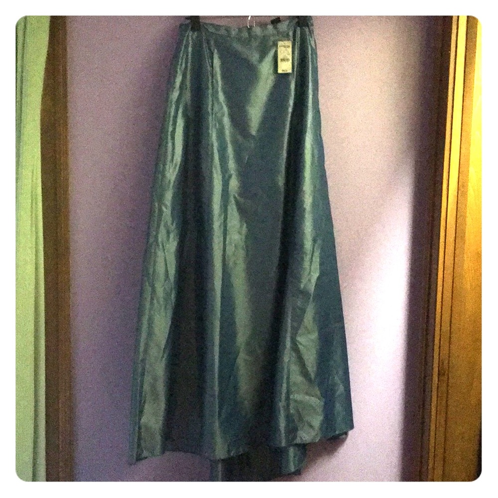 EXPRESS skirt NWT